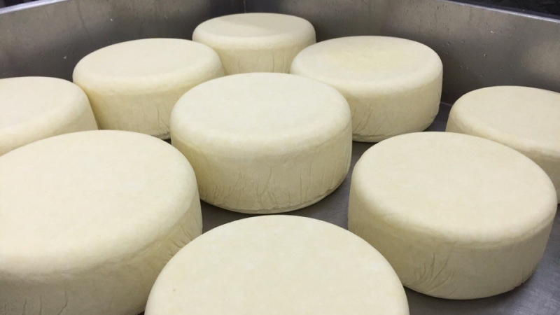 Почти 53,6 тыс. тонн сыра произвели в Подмосковье за 10 месяцев 2020 года