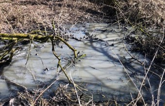 Наро-фоминские коммунальщики прекратили загрязнение рек после вмешательства Минэкологии