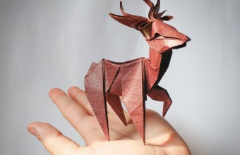   На бесплатные занятия оригами приглашают пенсионеров Молодёжного